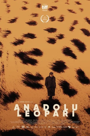 Anadolu Leoparı